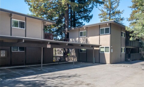 Apartments Near Kentfield 2BR/1BA! Charming Flat! Private Patio! Completely Remodeled!! Parking! Pool! PROGRESSIVE for Kentfield Students in Kentfield, CA