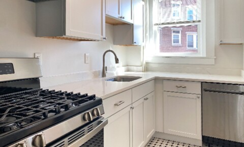 Apartments Near Salem No fee! Renovated 1BR in downtown Salem - pet friendly, ASAP move in! for Salem Students in Salem, MA