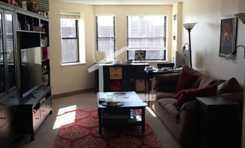 Apartments Near Brandeis Nice 2 bed in Brighton for Brandeis University Students in Waltham, MA