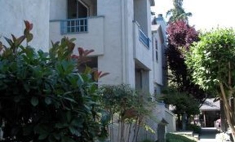 Apartments Near Santa Clara 01309 - P % - 45 Hobson 2B for Santa Clara University Students in Santa Clara, CA