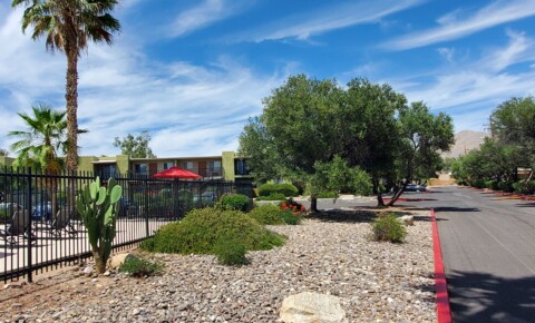 Apartments Near University of Arizona 513 W PANORAMA RD for University of Arizona Students in Tucson, AZ