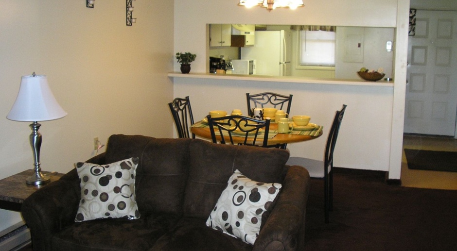 Ontario Village Apartments - Deluxe  2 Bedroom, 1 & 2 bath , Furnished  Apartment Options