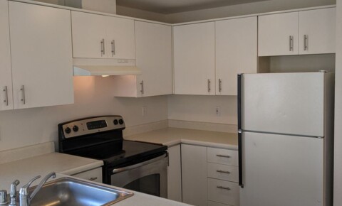 Apartments Near UW Alderview - 300 11th Ave for University of Washington Students in Seattle, WA