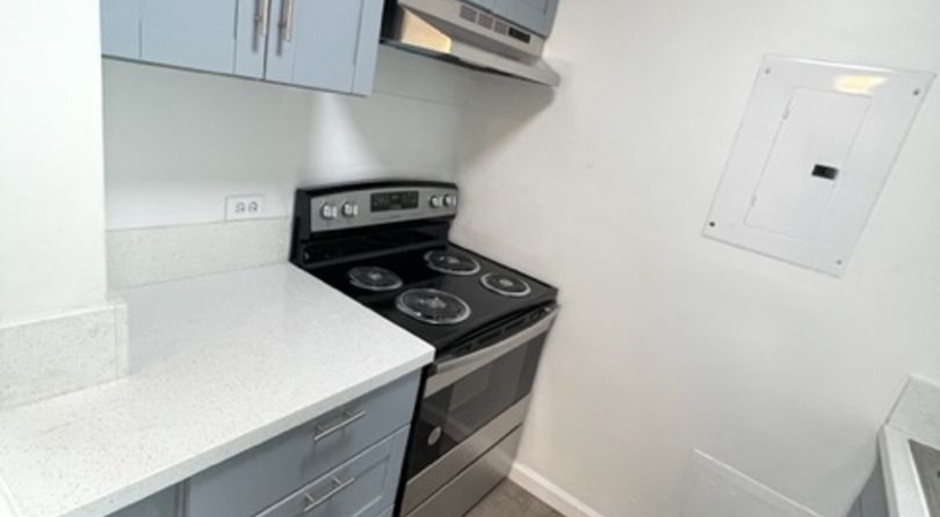 Completely Renovated 1 bed/ 1 bath /1 parking close to Ward Ave!