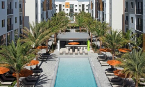 Apartments Near Boca Raton UNIVERSITY PARK Summer Term Rental for Boca Raton Students in Boca Raton, FL
