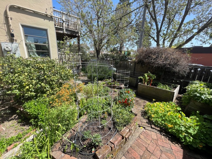 Sunny Upper Unit w/ Lush Shared Garden and Fruit Trees
