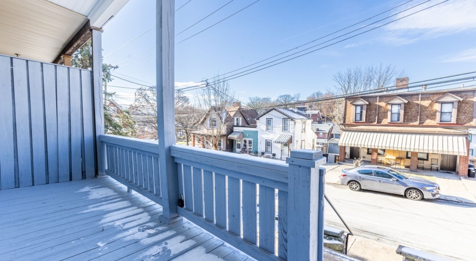 Available NOW - Fully Renovated 3 Bedroom 2 Bath house in the heart of Mt. Washington!
