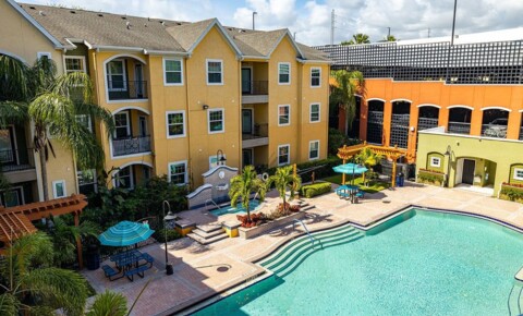 Apartments Near Everest University-Brandon 1810 E Palm Ave #1102 for Everest University-Brandon Students in Tampa, FL