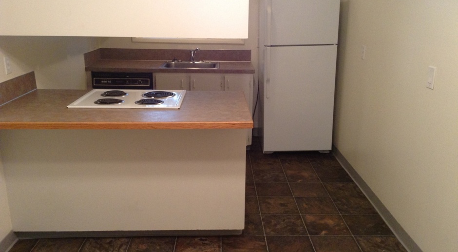 Upper level 2 bed, hardwoods, dishwasher, all dogs welcome!