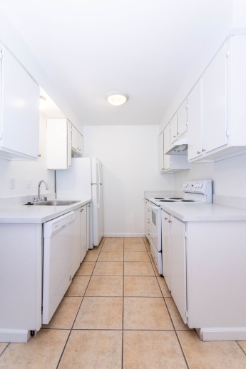 Spacious 2x2 with W/D in unit.  Private fenced backyard!  2 weeks FREE RENT!