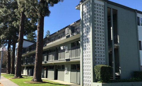 Apartments Near Davis Univ. Pines for Davis Students in Davis, CA