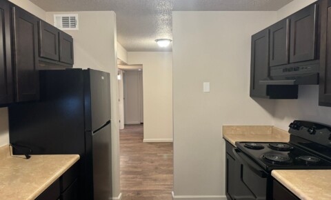 Apartments Near USC 2 Bedroom 1 Bath  for University of South Carolina Students in Columbia, SC