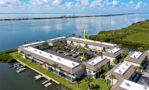 Apartments Near Summit Salon Academy Waterfront Condo for Summit Salon Academy Students in Tampa, FL