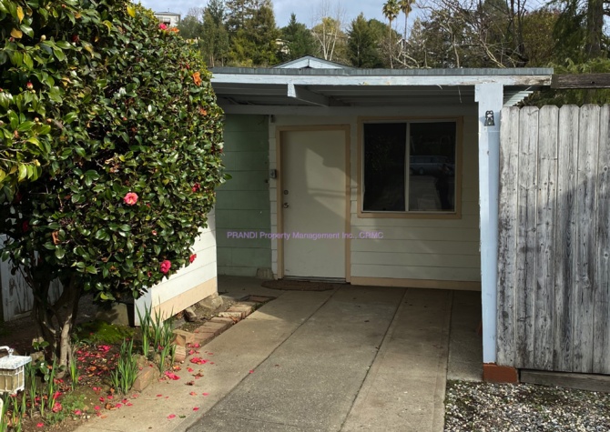 Houses Near Pending Application! Cozy Cottage in West San Rafael!