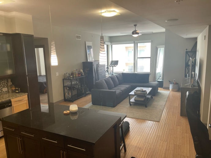 2 Bedroom Downtown Apartment 