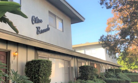 Apartments Near Pacific Oaks Olive Branch Apartments for Pacific Oaks College Students in Pasadena, CA