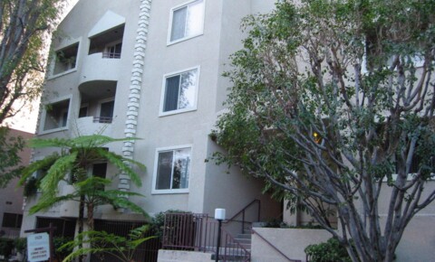Apartments Near AIU LA Manhattan Apts. for American Intercontinental University Students in Los Angeles, CA