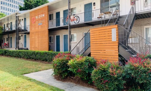 Apartments Near Herzing University-Atlanta Bloom at Buckhead for Herzing University-Atlanta Students in Atlanta, GA