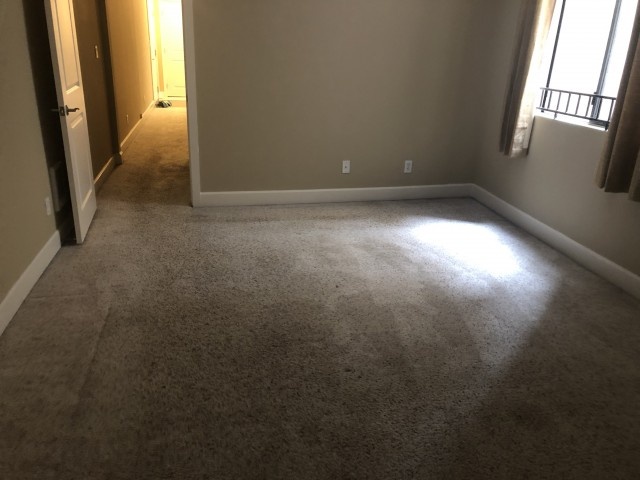1 bed 1 bath with patio luxury condo for rent 