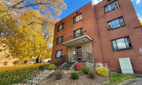 Apartments Near CMU Avail 8/1- 1BR in Heart of Shadyside for Carnegie Mellon University Students in Pittsburgh, PA