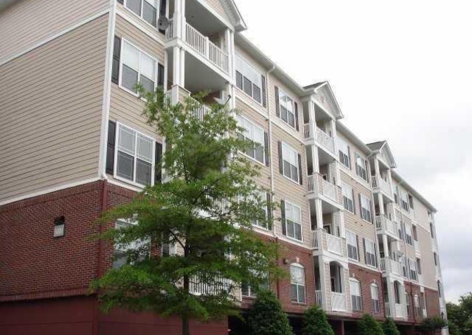 Houses Near Dunwoody 2BD/1BA Furnished Condo Move In June 1st! Reservation Hold 