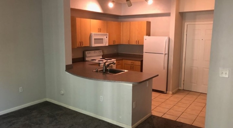 Beautiful 1/1 condo with great amenities