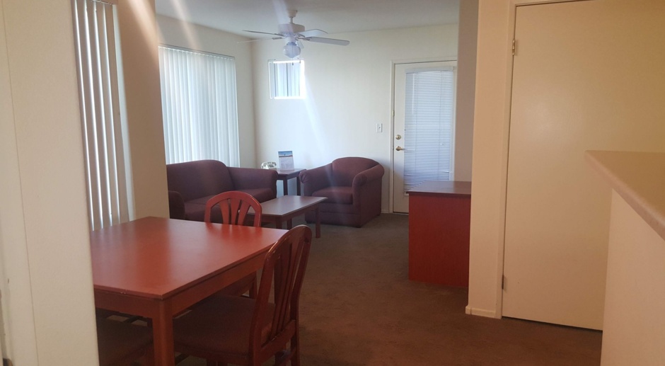Large 2 bedroom/2 bath units with full size washer and dryer!