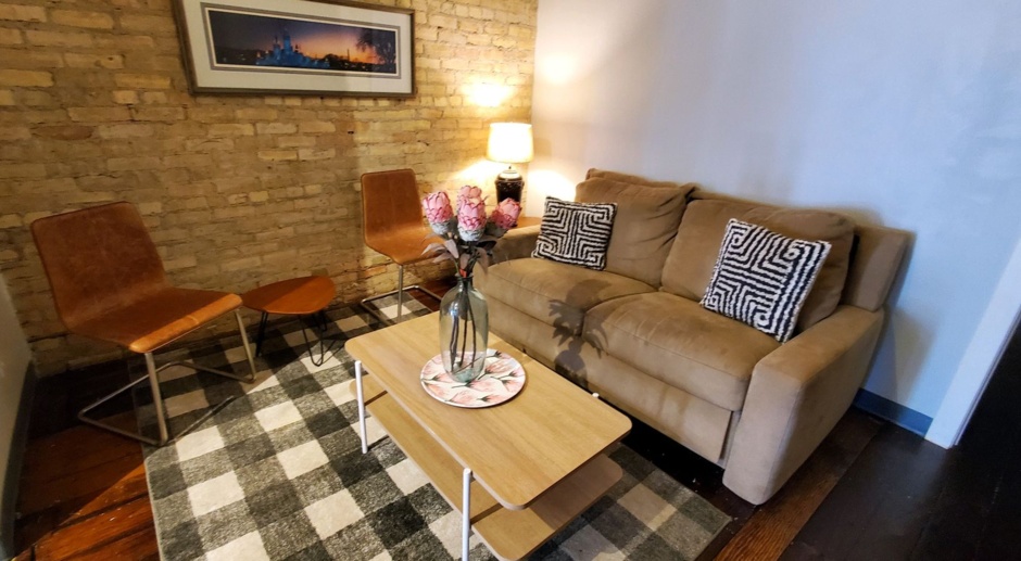 NEWLY RENOVATED APARTMENT IN HISTORIC ELLIOT PARK