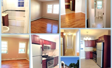 Apartments Near Jersey College Full Renovations, SS appliances, New Bath, HW Floors- Orange, NJ  for Jersey College Students in Teterboro, NJ
