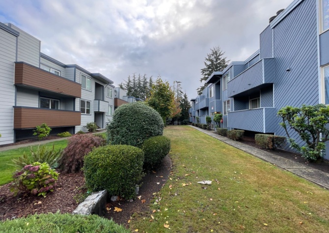 Apartments Near 9925 Everett (Wildwood)