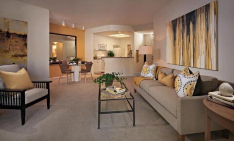 Apartments Near Saddleback 500 Cardiff for Saddleback College Students in Mission Viejo, CA