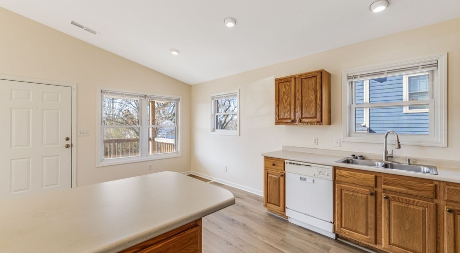 Newly-Updated 3-Bedroom Home in West Asheville
