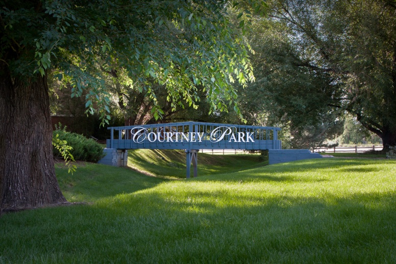 Courtney Park
