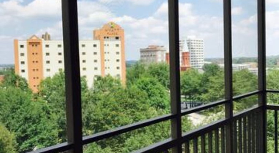 Furnished Move-In Ready Downtown 1br/1ba Apartment on the 5th floor with a Balcony