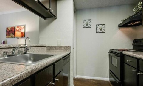 Apartments Near UT Dallas 9750 Forest Lane for University of Texas at Dallas Students in Richardson, TX