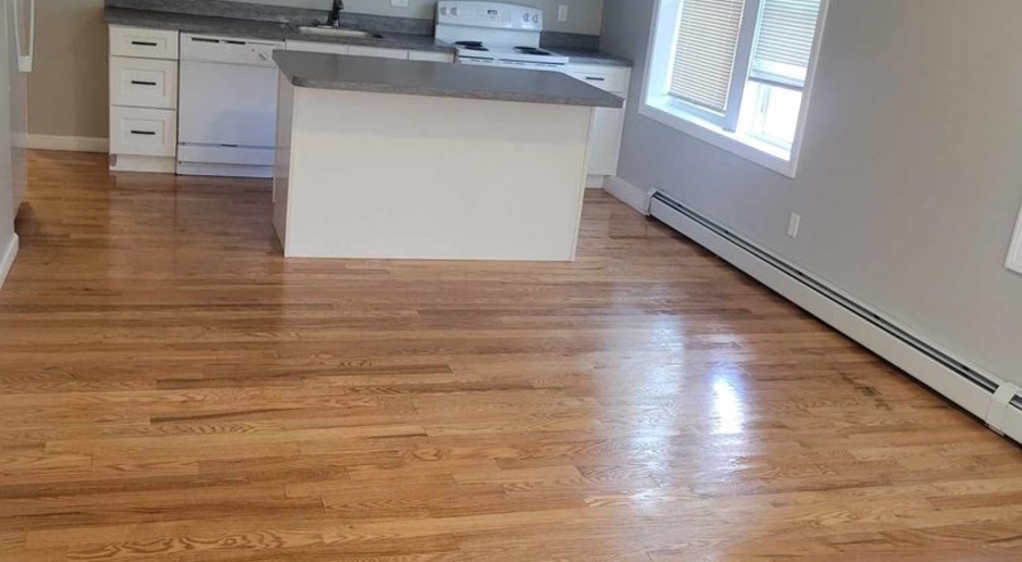 Renovated 2 Bedroom with Washer and Dryer hook ups
