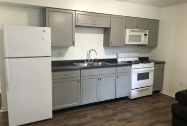 Recently Renovated 4 Bedroom/1 Bath Apartment..Steps From Campus 