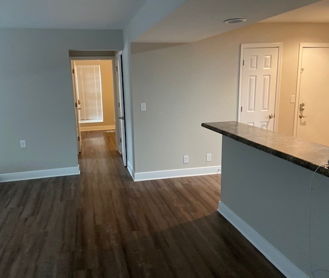 Newly Renovated 4 bed- 2 bath available for 2021-2022  