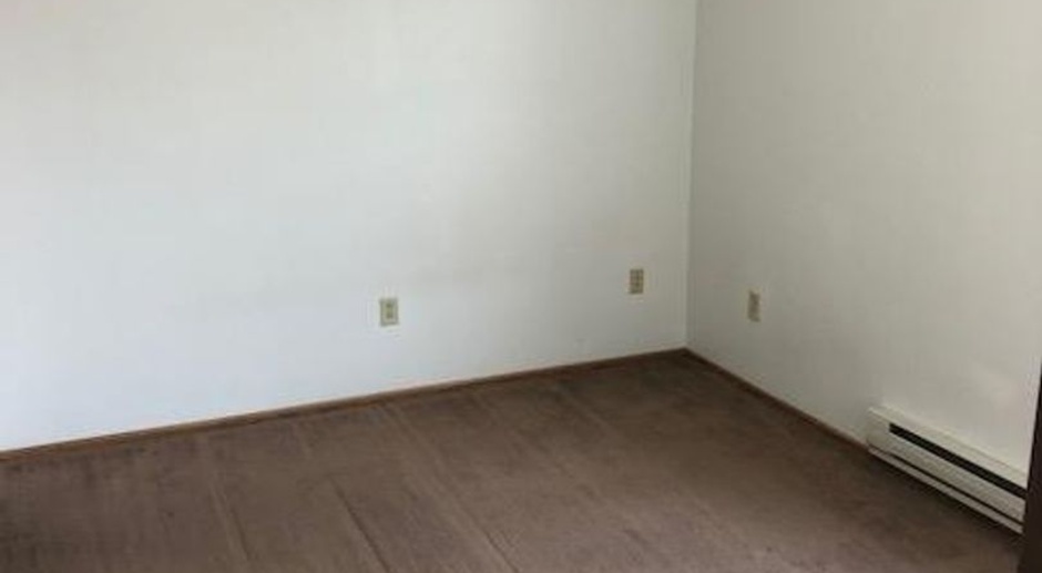 532 S Dubuque St- Studio/1Bed Downtown Student Housing