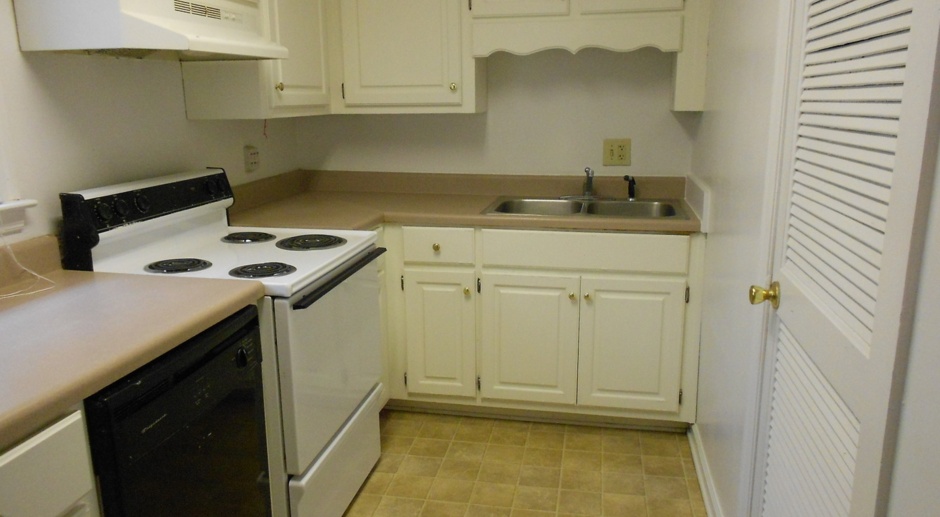 Affordable 1 bedroom units just 1 mile from UGA campus!